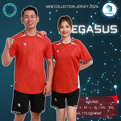 PEGASUS